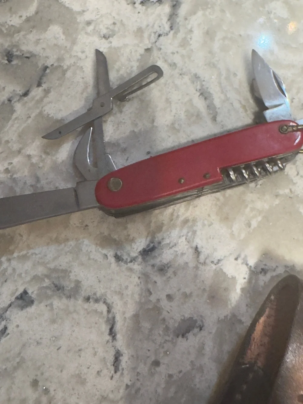 Black Leather Survival Knife with Sheath - Unbranded 3 knives